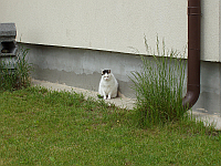 Miłek outdoor