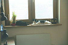 Strzyga and Czarnula 2007